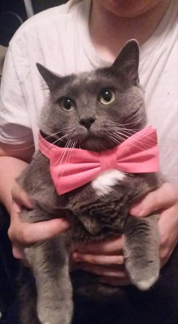 /Images/uploads/Humane Society of Utah/HSUCalendar/entries/996thumb.jpg